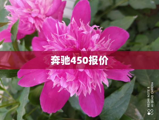 奔驰450报价