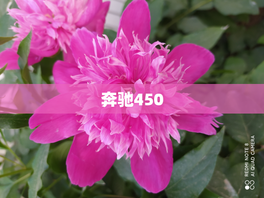 奔驰450