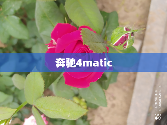 奔驰4matic