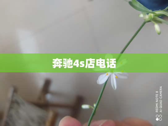 奔驰4s店电话