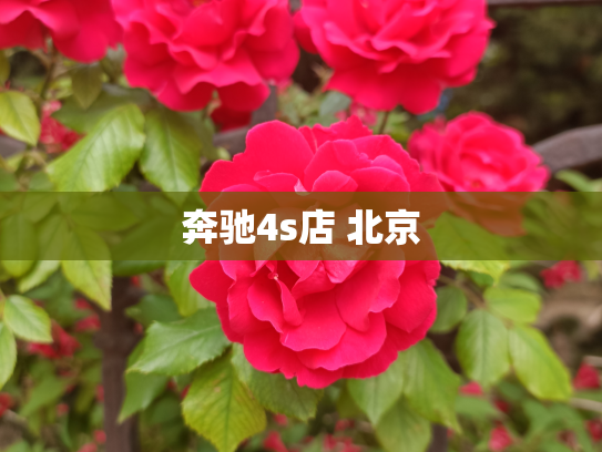 奔驰4s店 北京