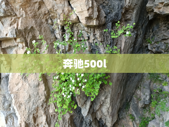 奔驰500l