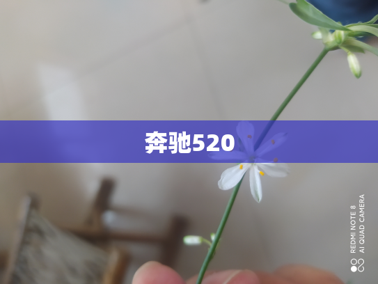 奔驰520