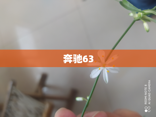 奔驰63