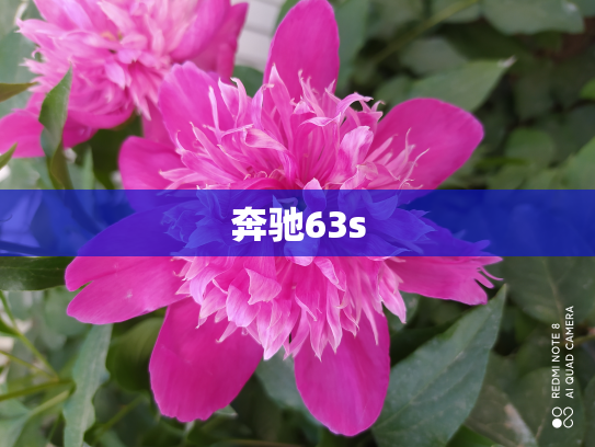奔驰63s