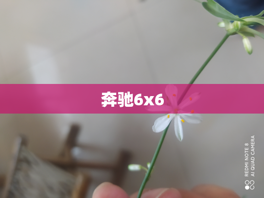 奔驰6x6