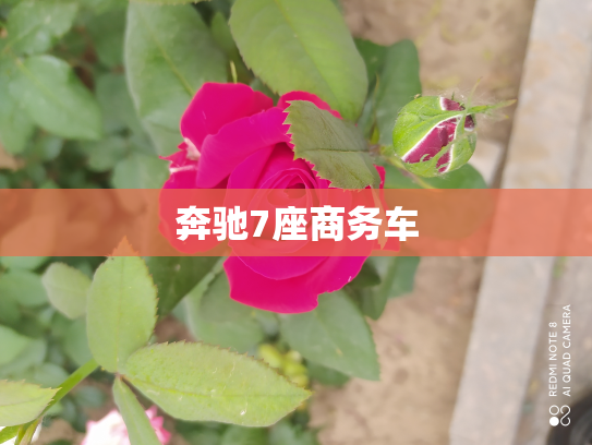 奔驰7座商务车