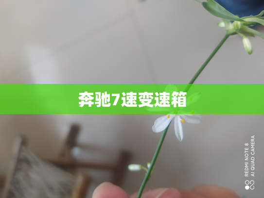 奔驰7速变速箱