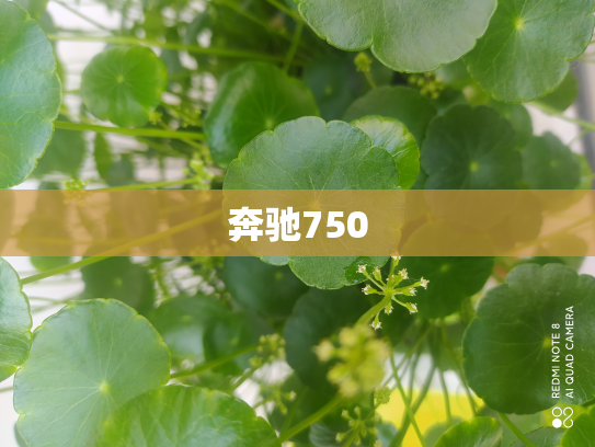 奔驰750