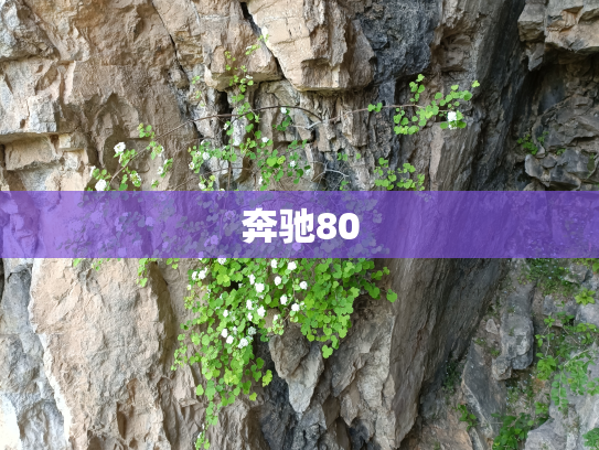 奔驰80