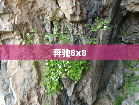 奔驰8x8