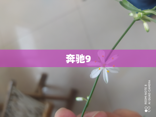奔驰9