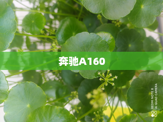 奔驰A160