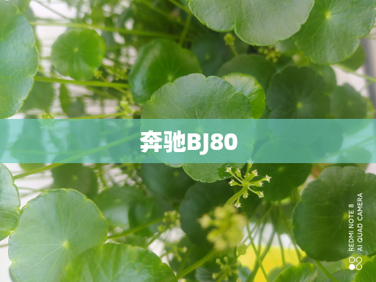 奔驰BJ80