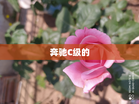 奔驰C级的
