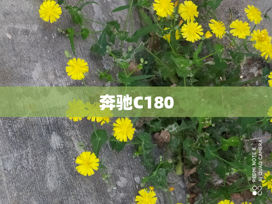 奔驰C180