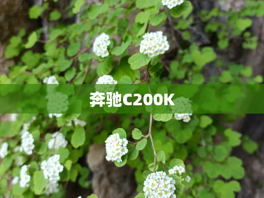 奔驰C200K
