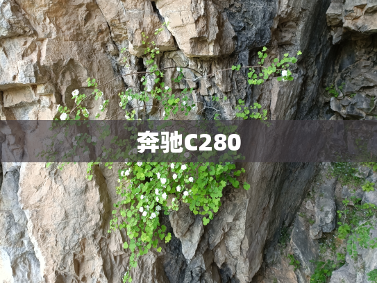奔驰C280