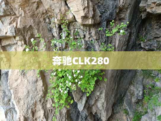 奔驰CLK280