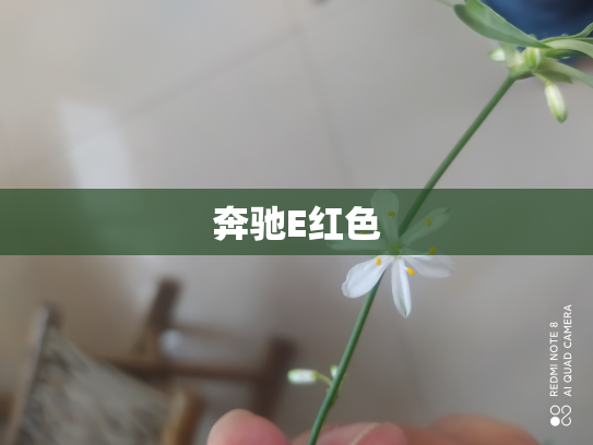 奔驰E红色