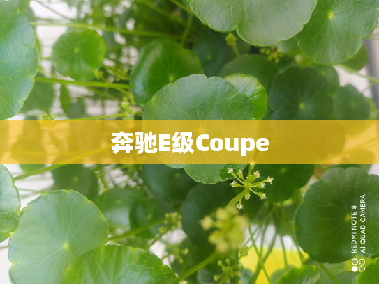 奔驰E级Coupe