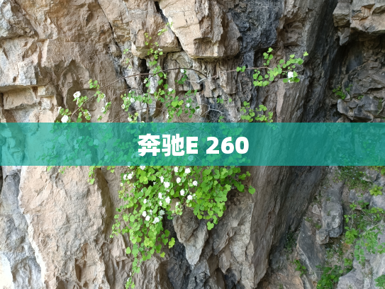 奔驰E 260