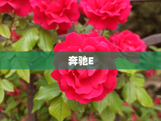 奔驰E