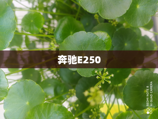 奔驰E250