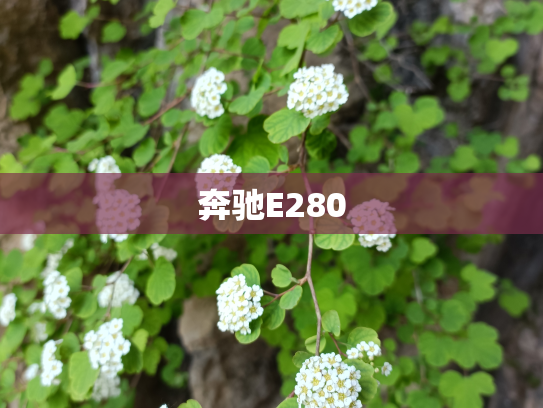 奔驰E280