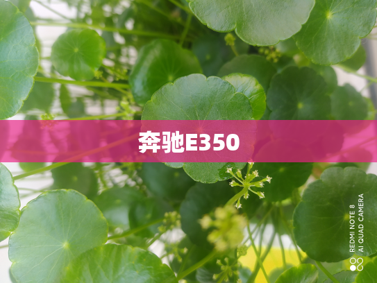 奔驰E350