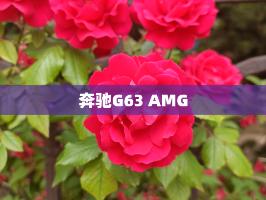 奔驰G63 AMG
