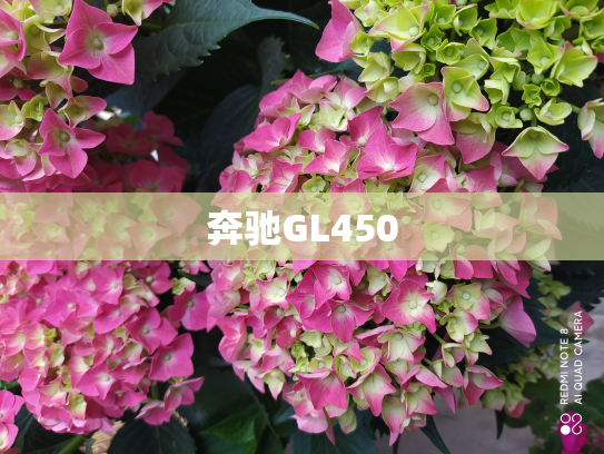 奔驰GL450