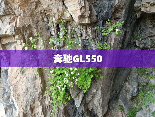 奔驰GL550