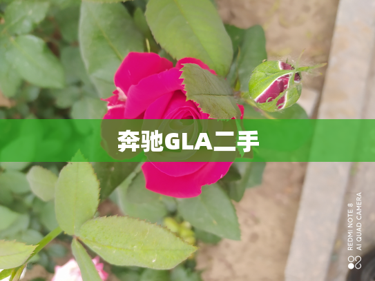 奔驰GLA二手