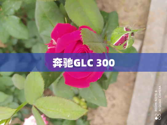 奔驰GLC 300