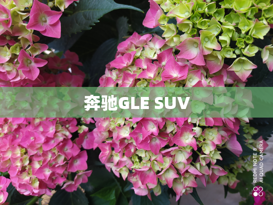 奔驰GLE SUV