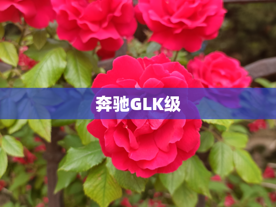 奔驰GLK级