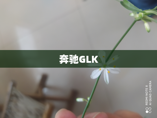 奔驰GLK