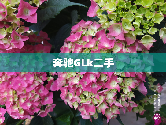 奔驰GLk二手