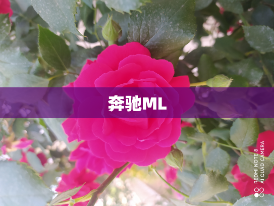 奔驰ML