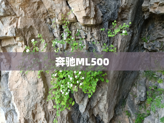 奔驰ML500
