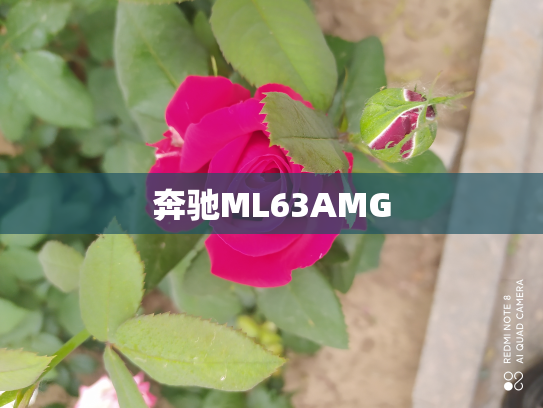 奔驰ML63AMG