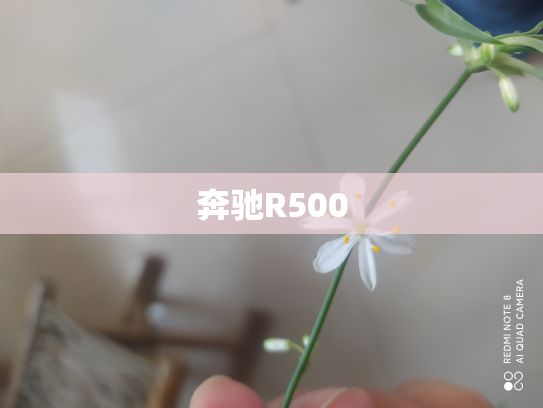 奔驰R500
