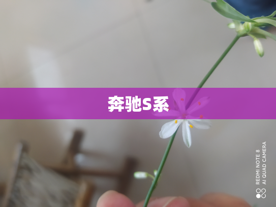 奔驰S系