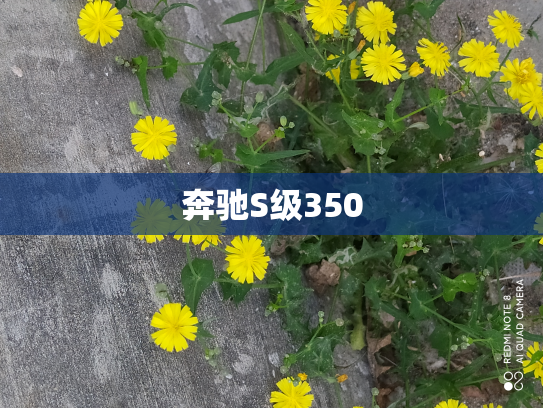 奔驰S级350
