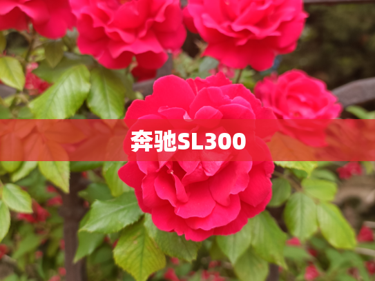 奔驰SL300