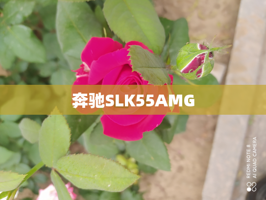奔驰SLK55AMG