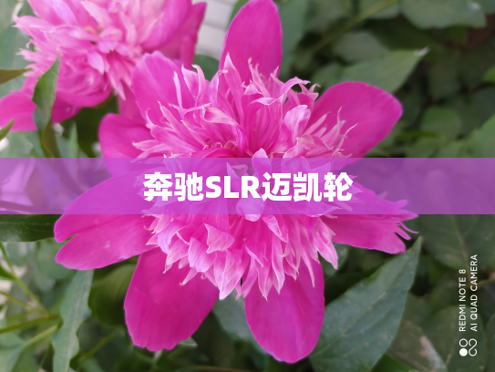 奔驰SLR迈凯轮