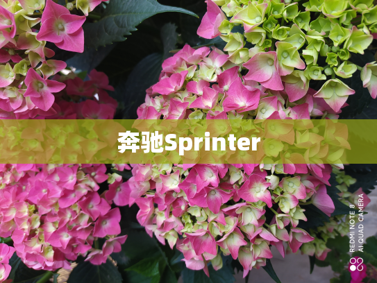 奔驰Sprinter