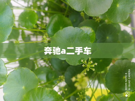 奔驰a二手车